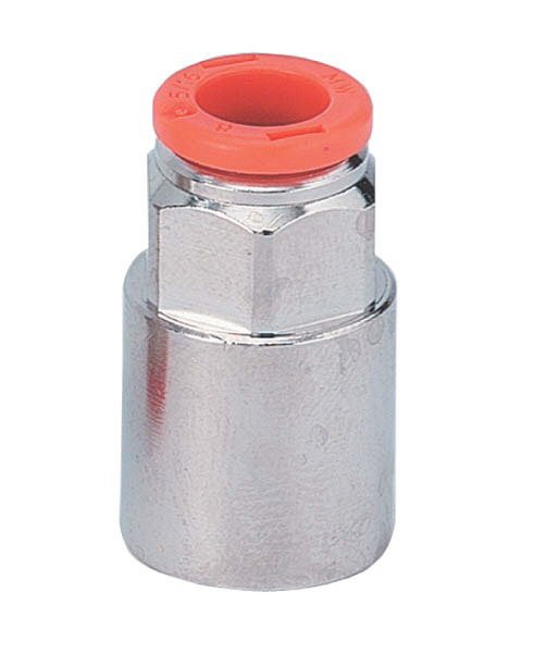 PIQ.DROIT FEMELLE RL2 12-1/2